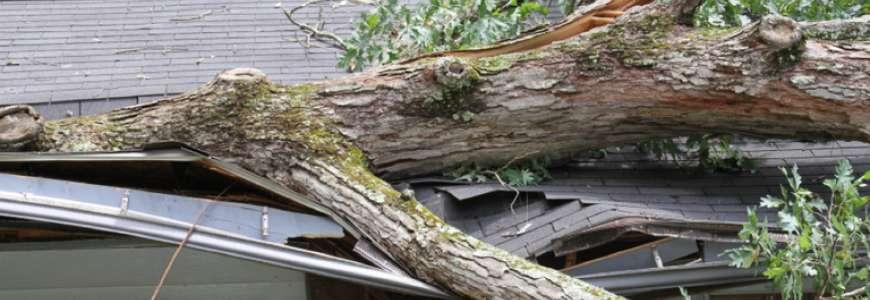 Alulbiztosított ház alulbiztosítottsága alatt történő káresemény - kidőlt fa.