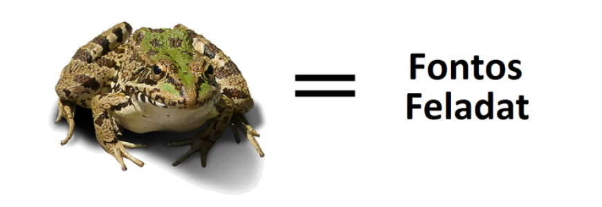 Beka-feladat-tracy.png
