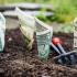 money-1604921_1920.jpg